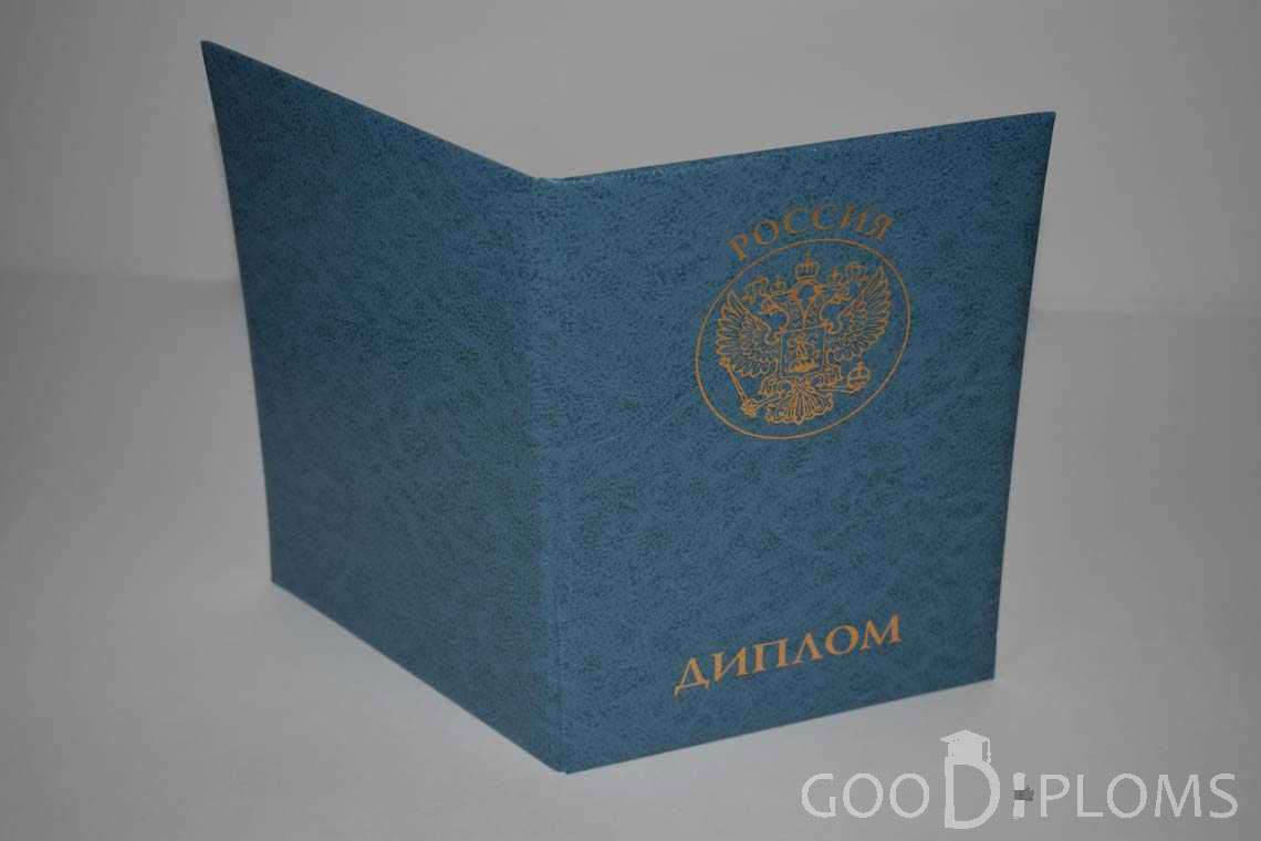 Диплом МВА - Обратная Сторона период выдачи 2011-2020 -  Житомир