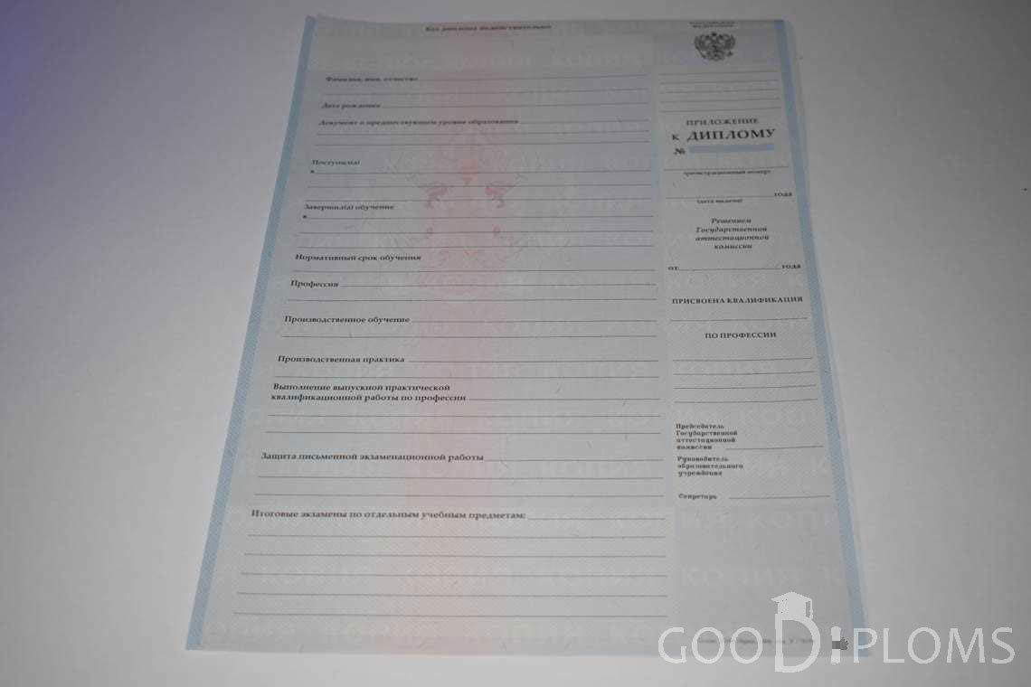 Приложение к Диплому Училища период выдачи 2007-2010  -  Житомир